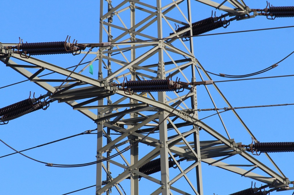 Czy linie wysokiego napięcia zagrożą bezpieczeństwu Małpiego Gaju?