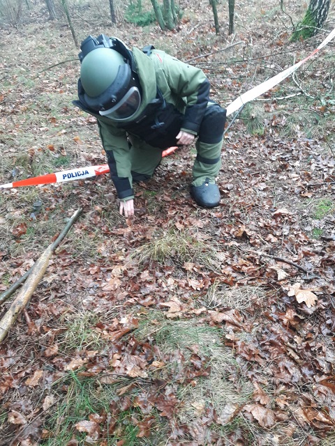 Bomba lotnicza znaleziona w lesie