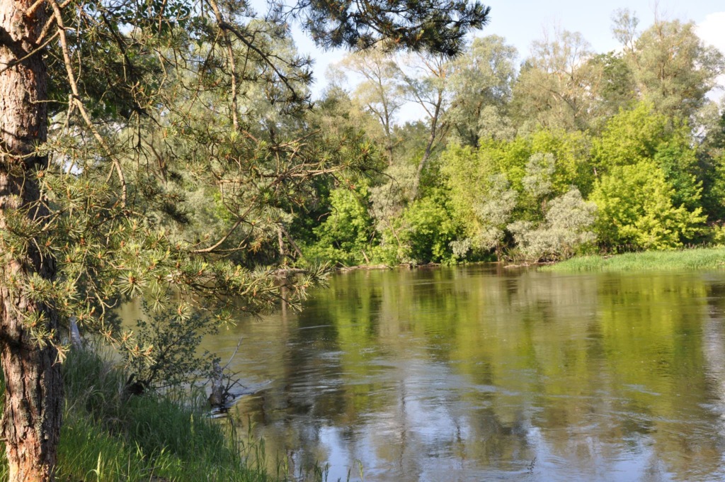 Akcja sprzątania rzeki w Kodniu