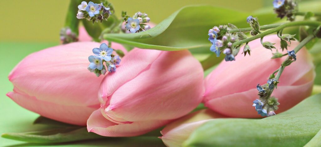 Najmłodsi na Dzień Matki – „Najpiękniejsze kwiaty dla Mojej Mamy”