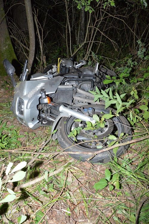 Motocyklista zderzył się z łosiem