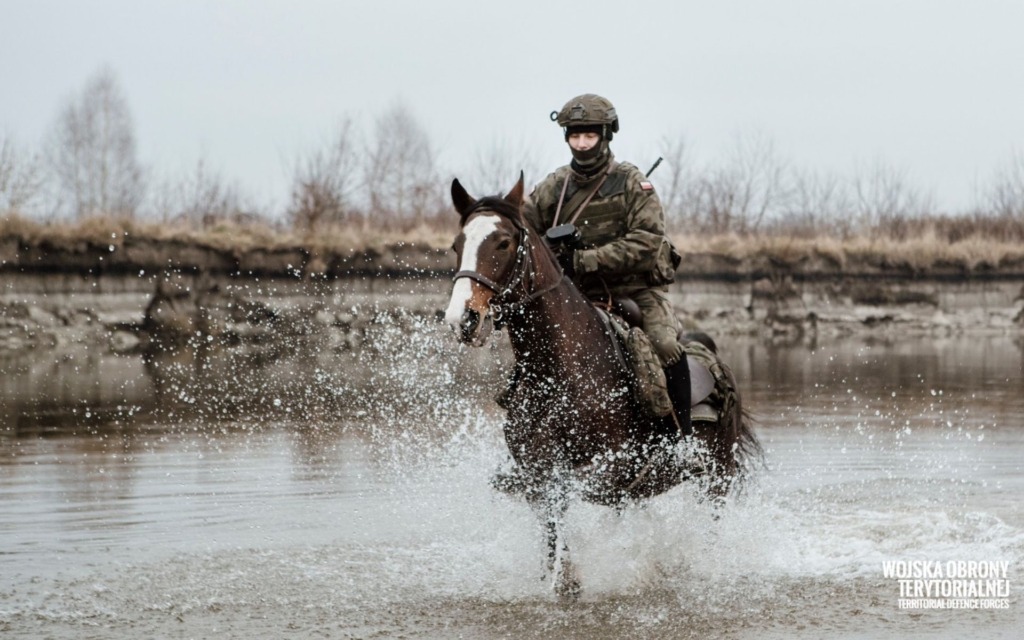 Konie pomocnikami na granicy