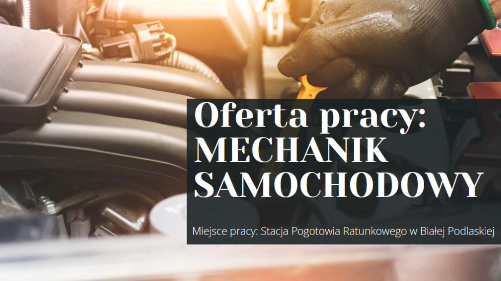 Oferta pracy: Mechanik Samochodowy