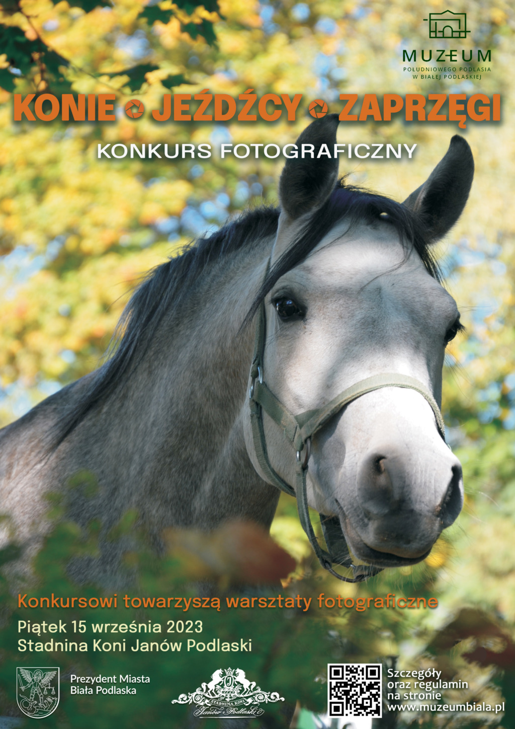 Konkurs Fotograficzny „Konie, jeźdźcy, zaprzęgi”