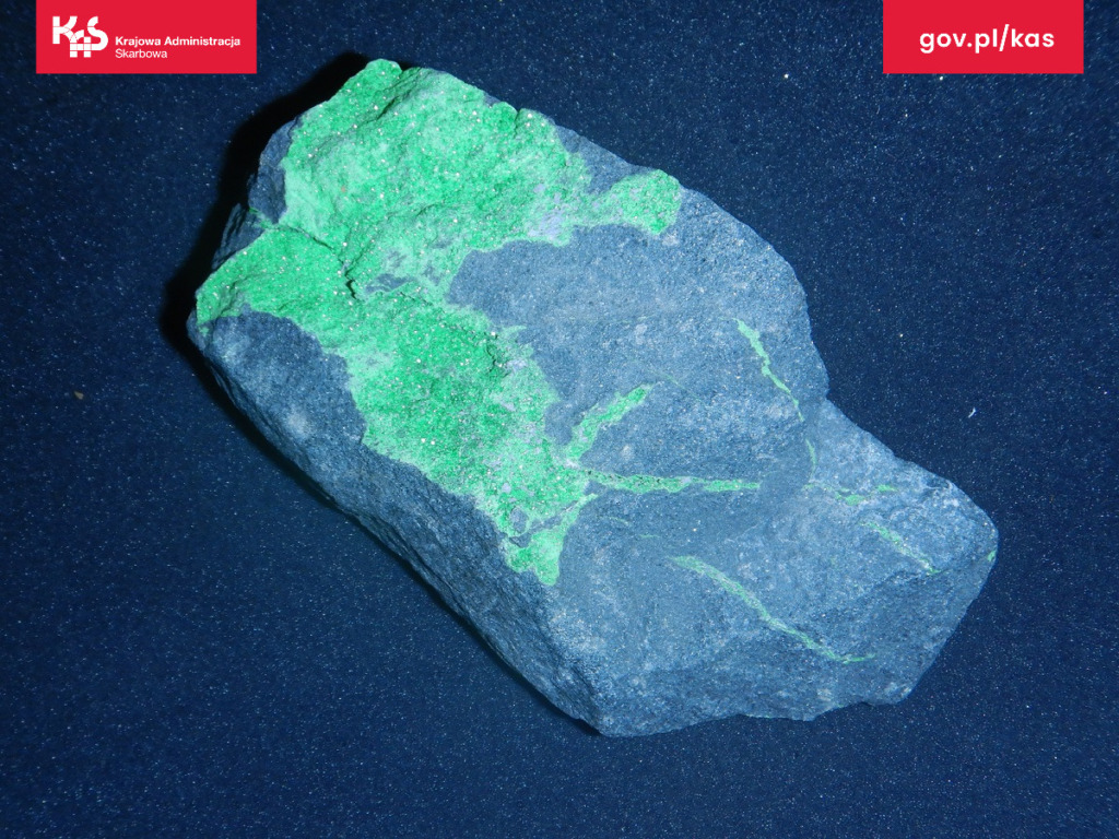 Pojazd pełen skamieniałych niespodzianek zatrzymany na granicy w Terespolu