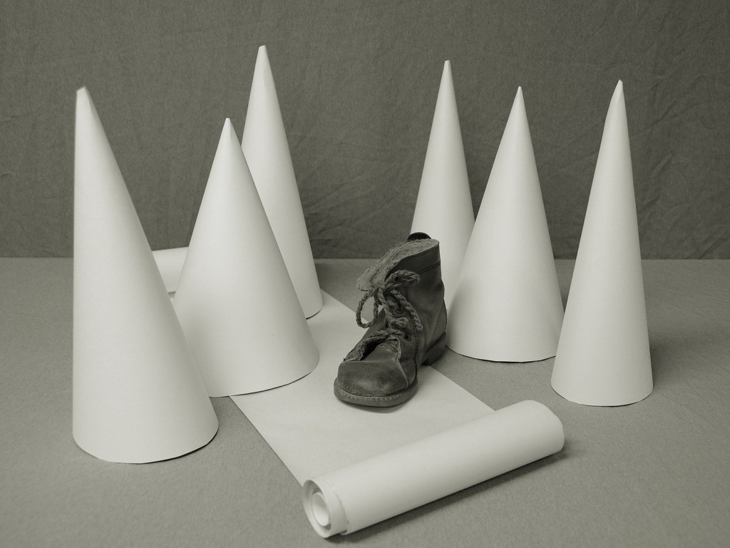 Sukces fotografów bialskiego koła “Migawka”