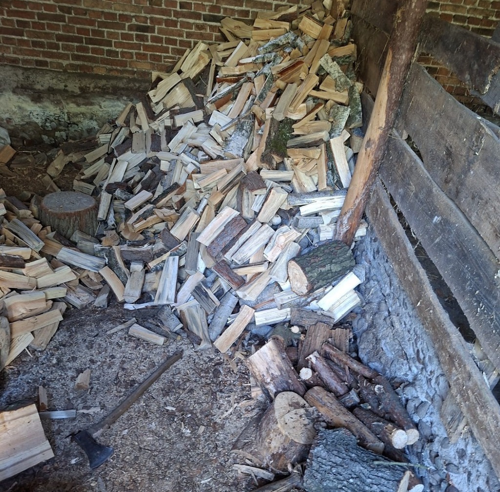 Terespolscy kryminalni zatrzymali złodzieja drzewa