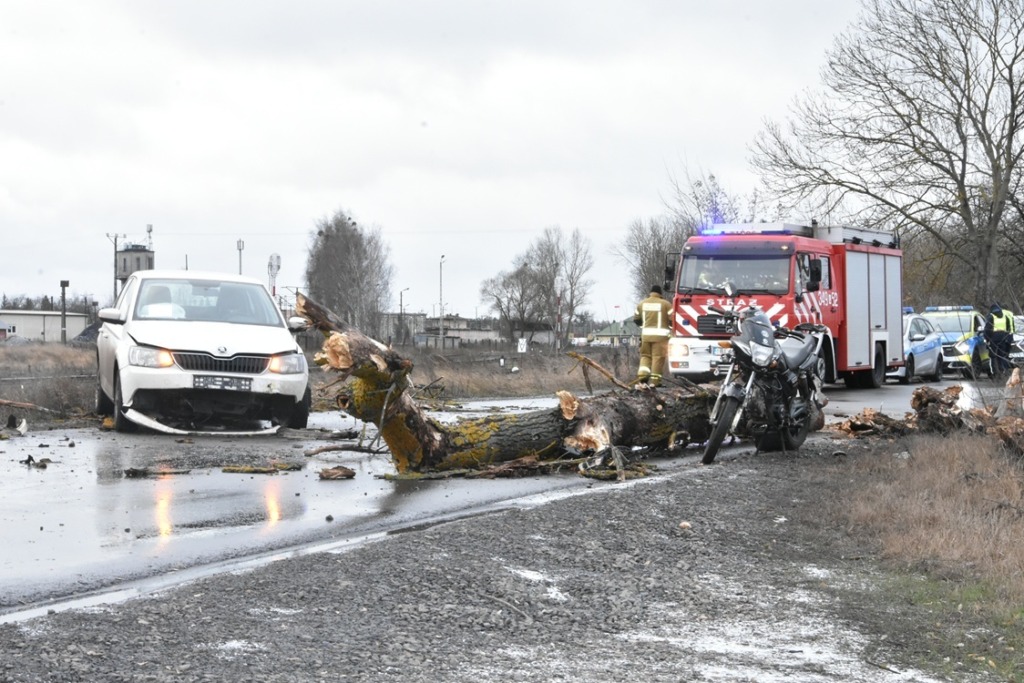 Wypadek w Małaszewiczach: konar drzewa ranił 59-latka po uderzeniu auta