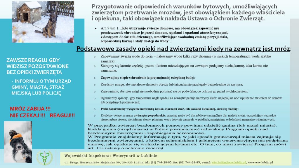 Zima to trudny czas dla zwierząt – przypomnienie o obowiązkach właścicieli i opiekunów