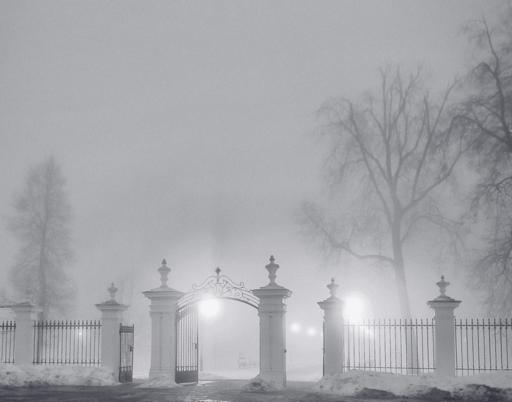 Sukces młodych fotografów z Białej Podlaskiej
