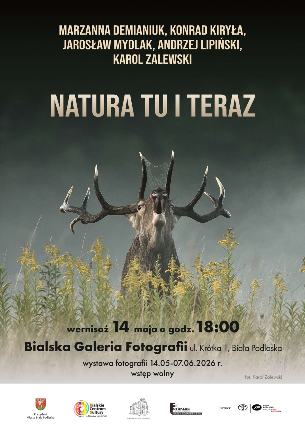 „Natura tu i teraz” – wystawa fotografii w Bialskiej Galerii Fotografii