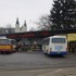 Dawny dworzec PKS może znów obsługiwać przewoźników. Jest propozycja Metroflix Dworzec autobusowy w Białej Podlaskiej widziany od ulicy Nowej, z autobusami przed budynkiem dworca
