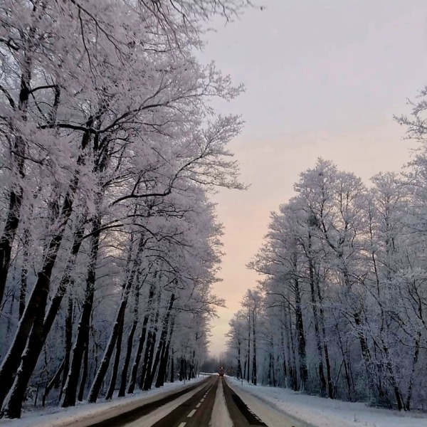 Fotografia konkursowa Marzeny Paluszkiewicz opublikowana przez Gminę Wisznice w materiale z wynikami konkursu