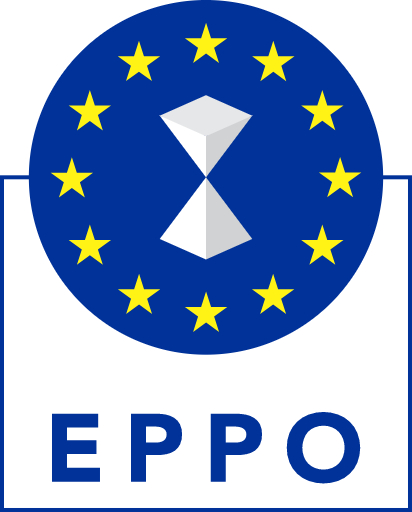Śledztwo w sprawie „Czystego Powietrza” trafiło do Prokuratury Europejskiej