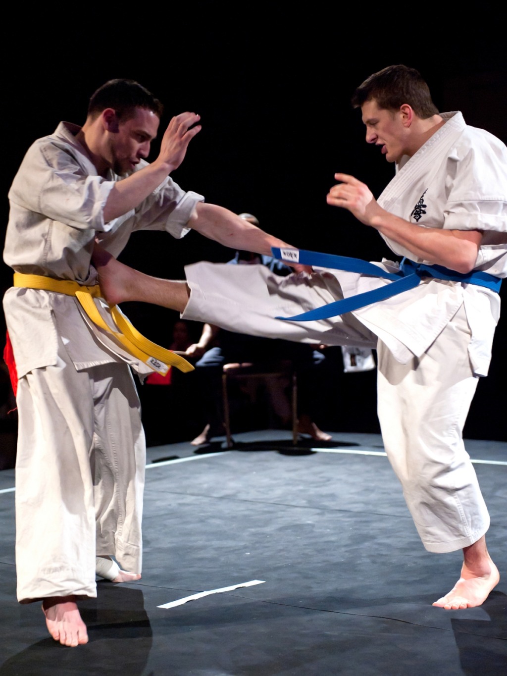 Dziewięć medali SKS Bushido w Pucharze Polski Kyokushin